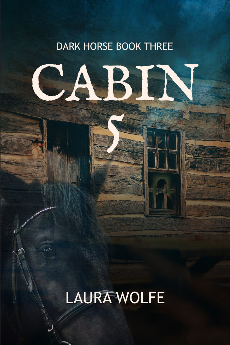 Cabin5_FullCov1 (2)